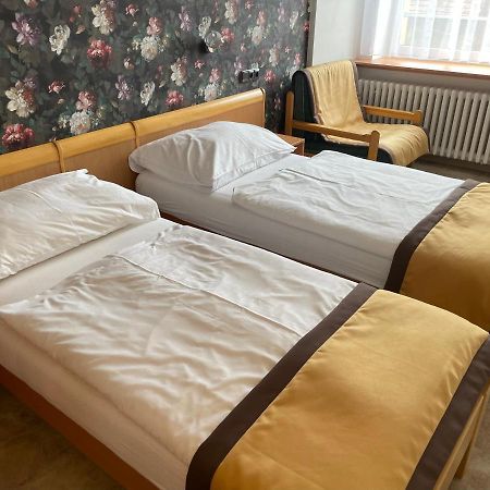 Hotel Akademie A Depandance Vila Jarmila Velké Bílovice Екстериор снимка
