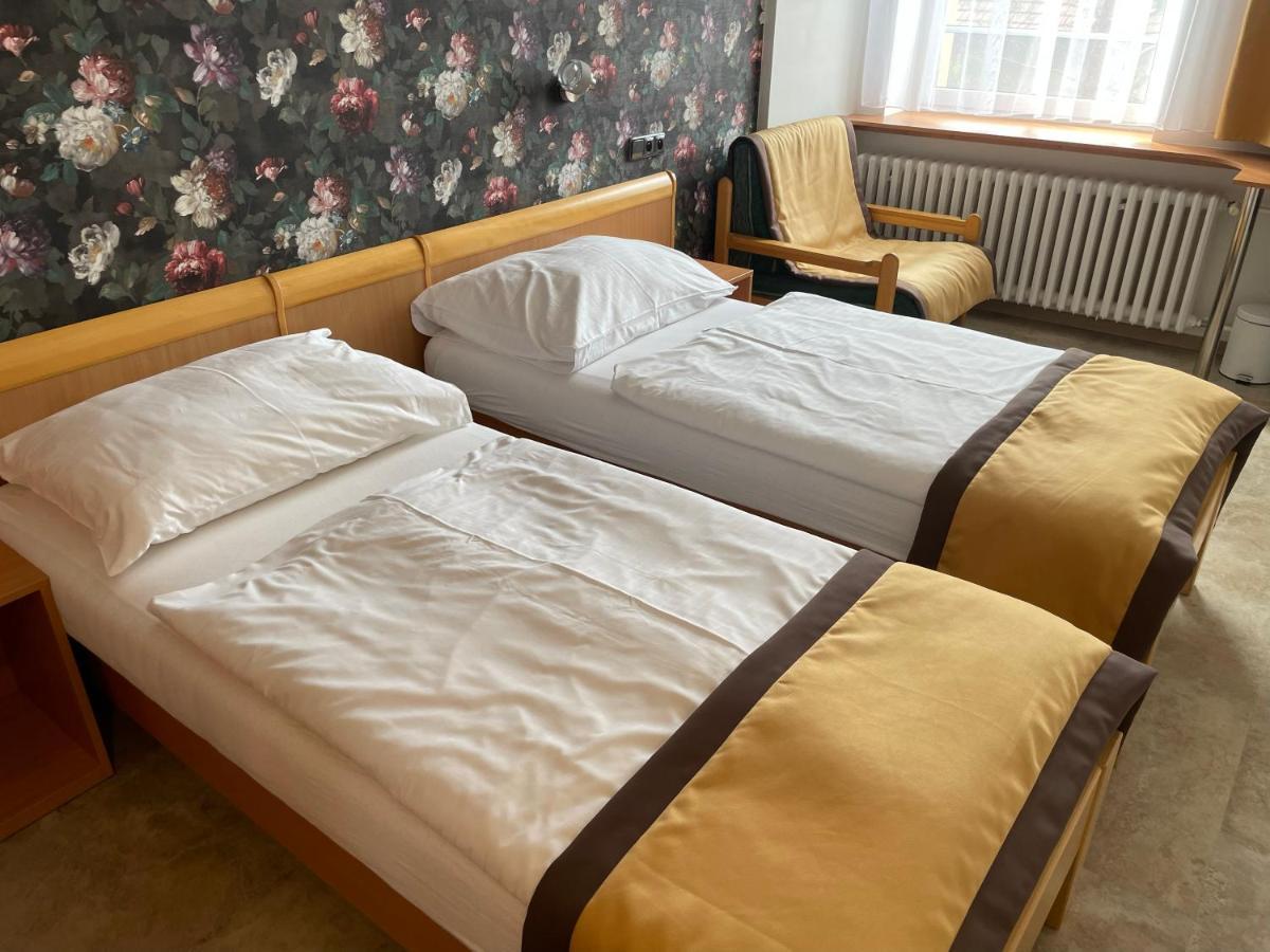 Hotel Akademie A Depandance Vila Jarmila Velké Bílovice Екстериор снимка