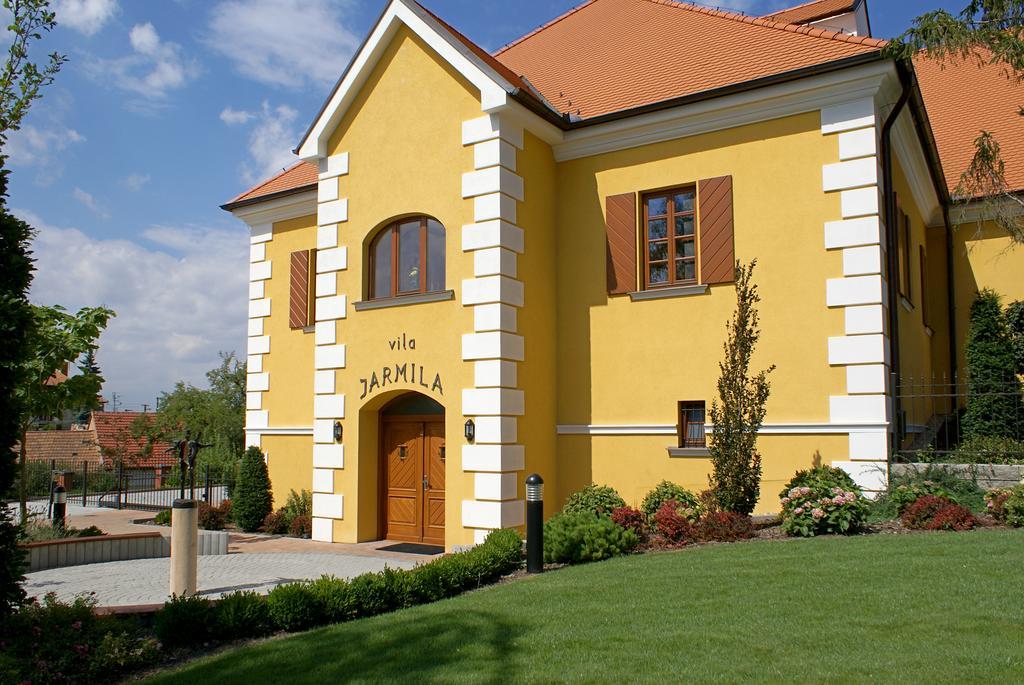 Hotel Akademie A Depandance Vila Jarmila Velké Bílovice Екстериор снимка